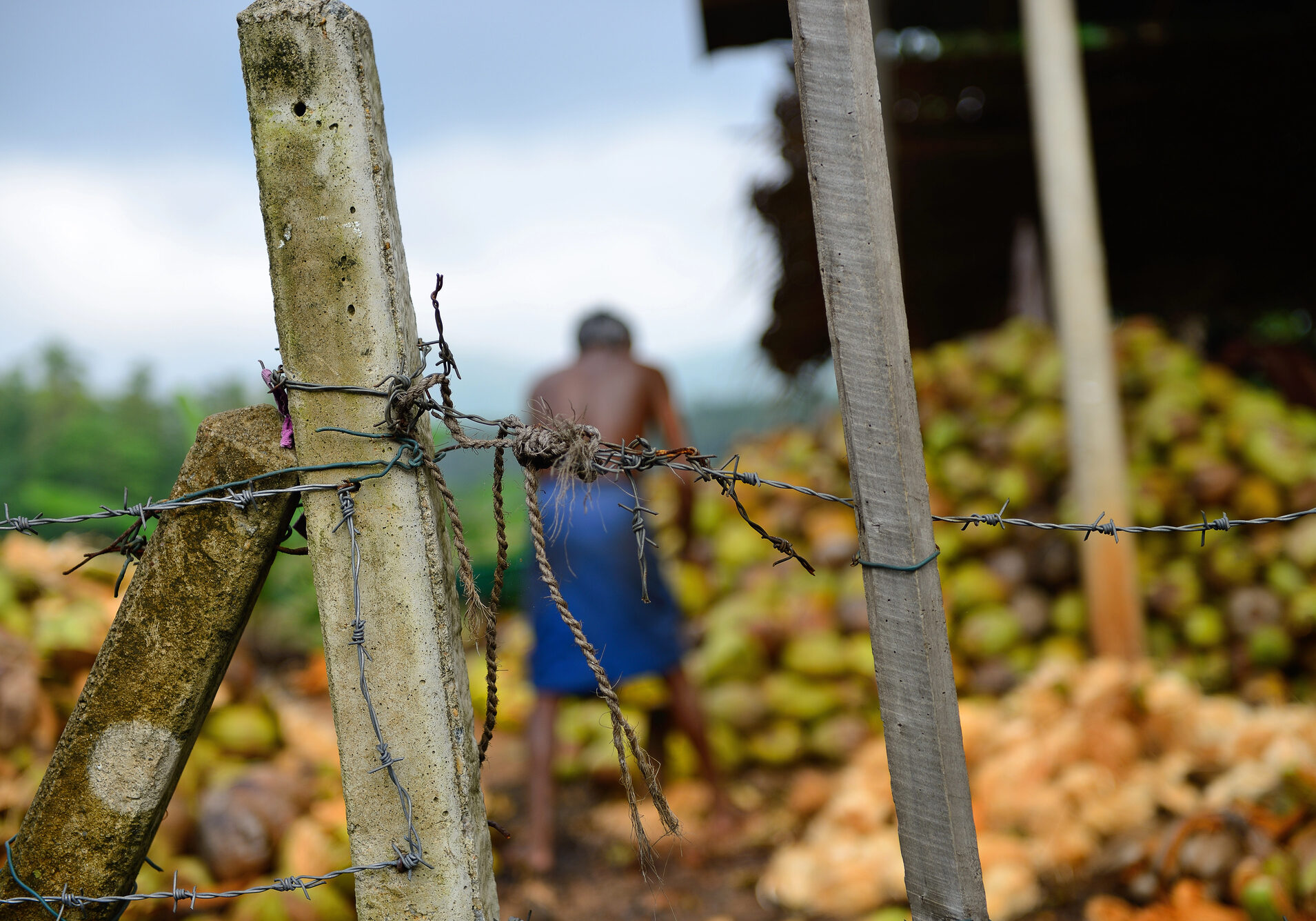 Depositphotos_19272755_L